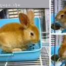 토순이몰 이미지