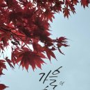 소백산자락길 제6코스 | 가을이 절정이다.이번 구보클럽의 걷기는 단양의 단풍명소 소백산 자락길 6코스로 보발재에서 출발한다.