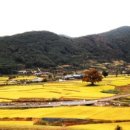 마음의 고향 이미지