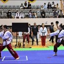 단 태권도 이미지