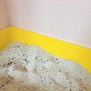 대도가스 | 가스케어펫 고양이 모래 탈취제 후기｜2주 사용 체감