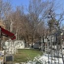 코카갤러리 | 주말 팔당데이트 맛집 추천 가든갤러리 팔당덕소본점 찐 후기 #내돈내산