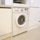 세종마루2 이미지