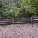 반디하우스캠핑장 | 인제 캠핑장_울타리 있는 반디하우스 (2구역 사이트) 강아지 동반 후기 | 지프배럭