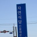 자연식당 | [영주 맛집_자연식당] 메기매운탕 후기, 국물 맛이 진짜 찐인 로컬 맛집