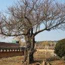 도암서원(道巖書院) | 공음면 칠암리 - 도암서원(道巖書院)