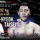 미스터샤크 수원 주짓수 킥복싱 멀티짐 이미지