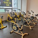 피트니스 갤러리 이미지