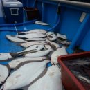 금강낚시 이미지