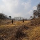 효촌1리마을회관 이미지