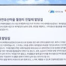 월정리 진빌레 밭담길 이미지