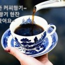 아침햇살 이미지