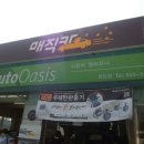 오토오아시스덕