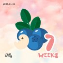 라비에벨 산후조리원 이미지