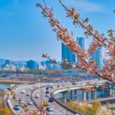 우리노래뱅크