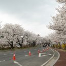 흥국로 네이버블로그