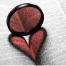 아이비티(IBT) 이미지