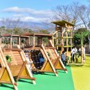 제주도 서귀포 : 제주올레 7코스 종주 (2022.01.20.)