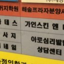 가인스킨샵 이미지