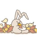 루이펫살롱 이미지