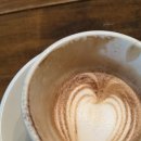 라니네 애견샵 | 자유부인 여행기 / (4) 편하구-례여행 : 인생 카푸치노, 플래닛1020