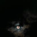 달 - 청주시 서원구 두꺼비로70번길 82 | 달