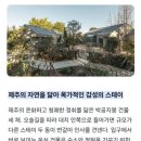 부쉬코너 이미지