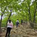 연기면_원수산MTB공원 | 세종시 원수산 전월산 비교 (세종시 임장 필수 코스)