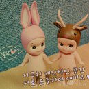 알라딘샾 이미지