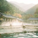 석주 물회 | 울진 백암온천 완벽 여행 가이드 | 동해바다와 함께 즐기는 힐링 온천