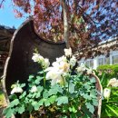 용둔초등학교 이미지