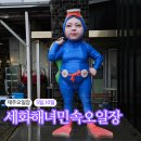 제주오일장 세화오일장 장날 기본정보 볼거리 먹거리