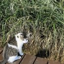 잠두유치원 | [일상]9-10월 감자의 못말리는 일상😛