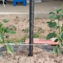 갈뫼농장 이미지