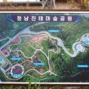 정남진테마숲 이미지