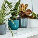 나만의테라피 이미지