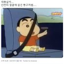 돌고돌아 또 일상
