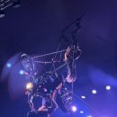 괌 PIC 슈퍼 아메리칸 서커스 관람 후기 가격 쿠폰