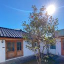 제주안뜰 이미지