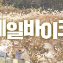 바이크1번가