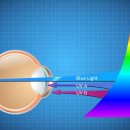 글라스박스안경 이미지
