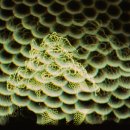 인간관계와 음악가 이야기 이미지