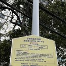 부산광역시 동구 조방로 10번길 네이버블로그