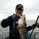 삼척고잉