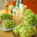 선돌농장 이미지