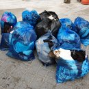 노원-현장-1386 | 헌옷수거업체 서울 방문 서비스 후기 옷 처리하기