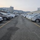 타이어월드 평동점 | 수원 중고차 내돈내산 후기(1) | 20대 여자 혼자 중고차 구매하기 (사전준비/매장후기/구매과정)