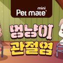 D&C 동물병원 이미지