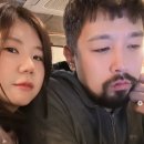 미스터라이팅