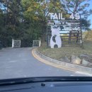 일프로 애견 | [강아지운동장] 용인 기흥tail45 리얼후기 🐻